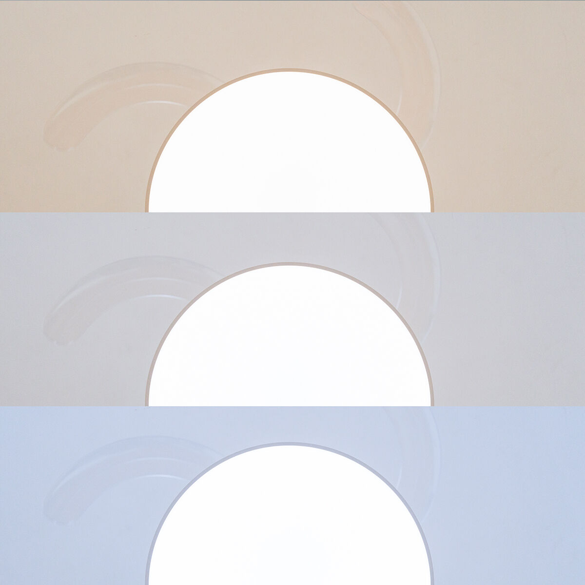V0103955_13